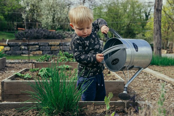 Comment cultiver des légumes oubliés pour une cuisine traditionnelle ?