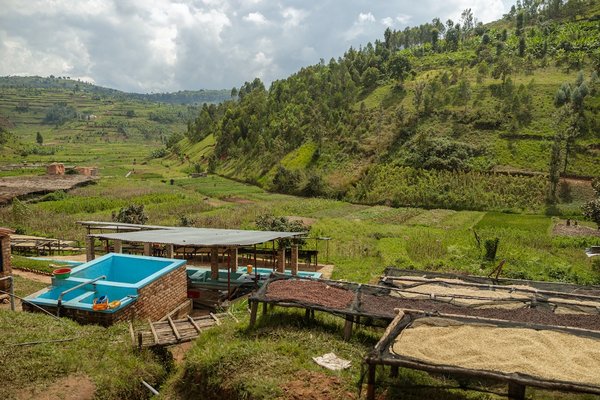 Quelles sont les étapes pour créer un mur antibruit esthétique à partir de bouteilles en verre recyclées ?